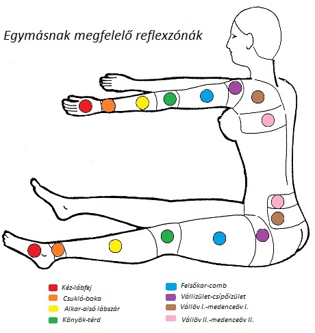 Egymásnak megfelelő reflexzónák